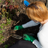 Unlocking the Versatility of Fork Tools in Gardening and Agriculture