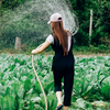 Efficient Watering: Revolutionizing Garden Care with Modern Irrigation Tools