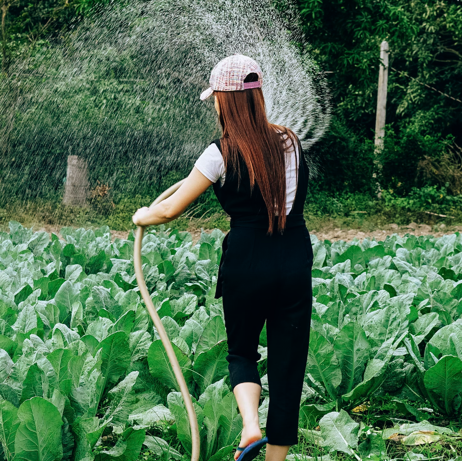 Efficient Watering: Revolutionizing Garden Care with Modern Irrigation Tools