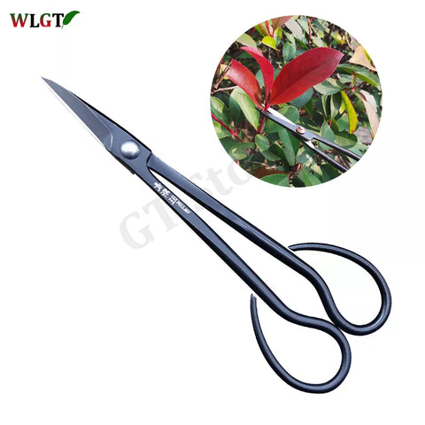 7.3inch Beginner Bonsai Tool Long Handle Scissors Gardening Plant Branch Shears Stainless