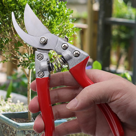 Portable Gardening Tool SK5 Blade Branch Pruning Shears