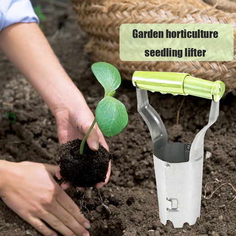 Bulb Seedling Planter