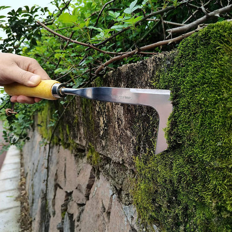Sharp Crevice Weeding & Slicing Tool