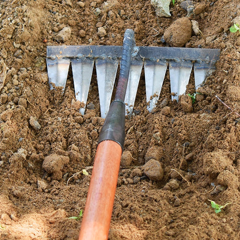 The Heavy-Duty Iron Weeding Rake